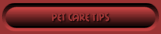 Pet Care Tips